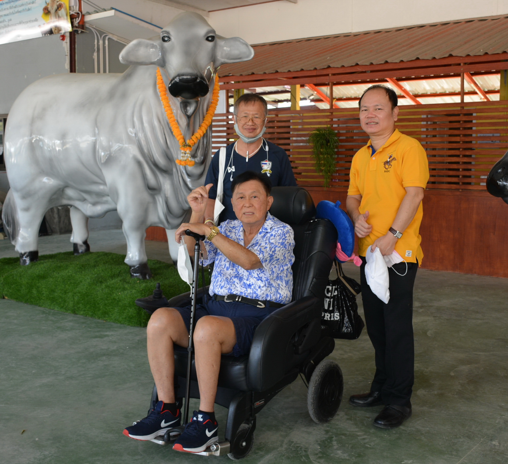 ‘ปฐม สุทธาธิกุลชัย’  สร้างสะพานบุญชักชวนหมู่มิตร  ไถ่อิสรภาพโค-กระบือ 19 ชีวิต